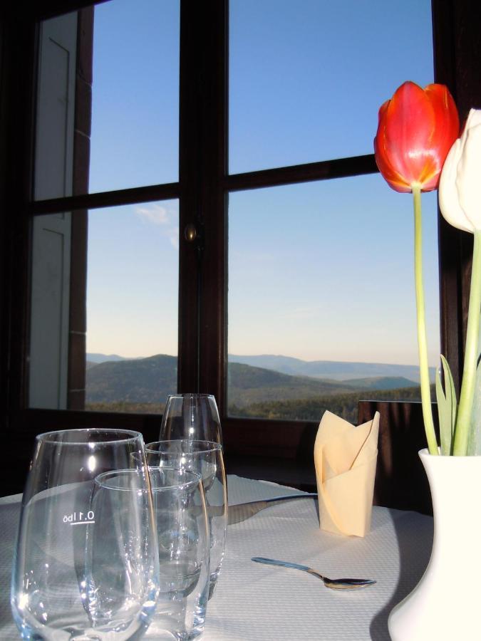 Hotel-Restaurant Mont Sainte-Odile Ottrott Ngoại thất bức ảnh